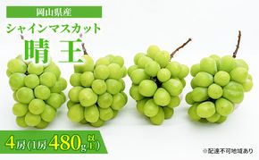 ぶどう 2026年 先行予約 シャイン マスカット 晴王 4房（1房480g以上）約2kg マスカット 岡山県産 国産 フルーツ 果物 ギフト 上品な香り 高級ぶどう 高級シャインマスカット 大粒 種なし 皮ごと 