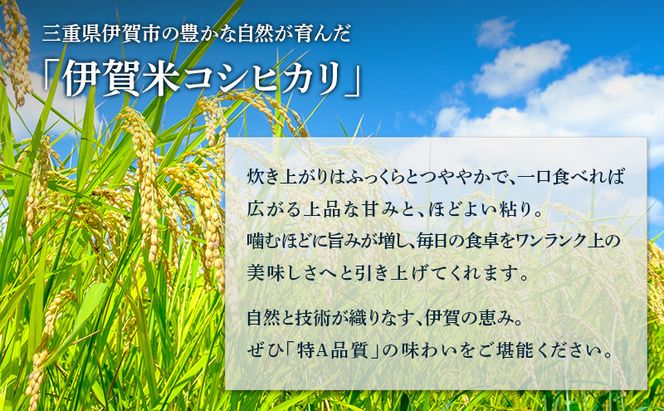 【特A評価・6ヶ月定期便】令和7年産 伊賀米コシヒカリ5kg（精米）　お米 米 白米 こしひかり ごはん 三重県 名張市
