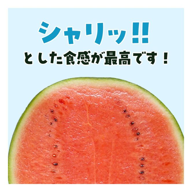 【先行予約・2027年6月下旬頃より発送】娘SUN 1玉 SMAF007