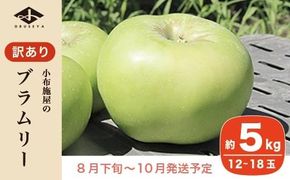 【訳あり】 クッキングアップル ブラムリー 約5kg 12～18玉 ［小布施屋］ 林檎 リンゴ フルーツ 果物 傷 キズ 不揃い 規格外 家庭用 令和7年産 【2025年8月下旬～10月発送】 ［A-47］