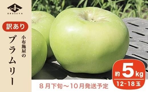 【訳あり】 クッキングアップル ブラムリー 約5kg 12～18玉 ［小布施屋］ 林檎 リンゴ フルーツ 果物 傷 キズ 不揃い 規格外 家庭用 令和7年産 【2025年8月下旬～10月発送】 ［A-47］