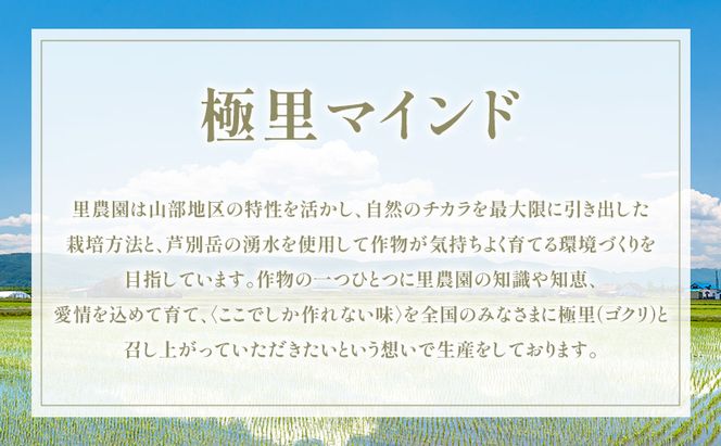【2026年秋発送】富良野産 里農園の〈ななつぼし〉5kg ご飯 ごはん ライス 白米 精米 ブランド米 銘柄米 おにぎり お弁当 和食 炭水化物 主食 北海道産