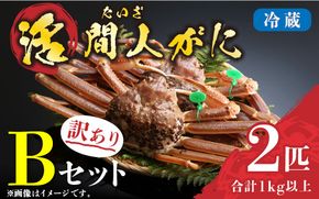（訳あり）活間人がに　2匹　Bセット　11/10～11/21発送予定 平七水産　間人がに 間人ガニ 間人蟹 たいざがに たいざガニ　HI00008_01