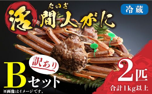 （訳あり）活間人がに　2匹　Bセット　11/10～11/21発送予定 平七水産　間人がに 間人ガニ 間人蟹 たいざがに たいざガニ　HI00008_01