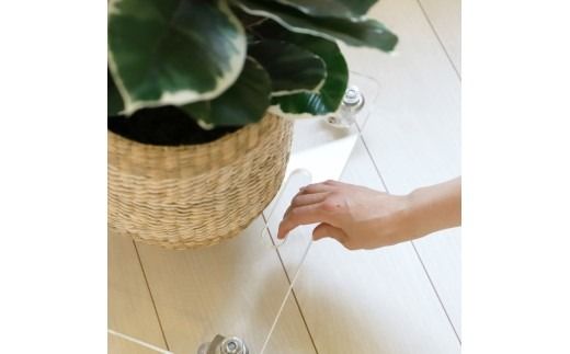 アクリルキャリー　AC-U50