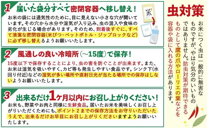 【3ヶ月定期便】令和8年産 新米 定期便 無洗米 も選べる ひのひかり 5kg 10kg 20kg 《12月から出荷開始》令和8年産 新米 熊本県産 ふるさと納税 無洗米 白米 精米 ひの 米 こめ ふるさとのうぜい ヒノヒカリ コメ 熊本米ひのもり---gkt_lcl_805_dec3---