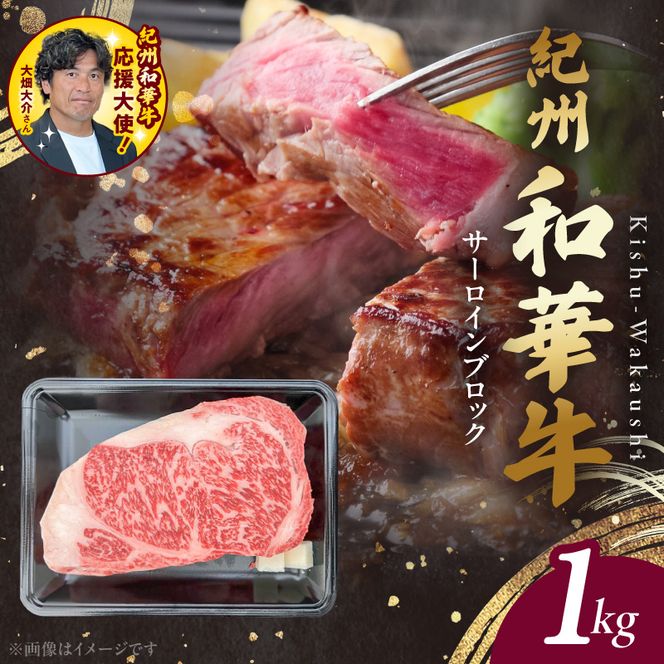 紀州和華牛　サーロインブロック　1kg_BN6119