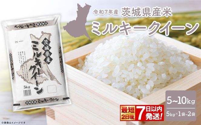 【令和7年産/白米】 ミルキークイーン 令和7年産 5kg～10kg 茨城県産 小分け 人気 K2660 K2661