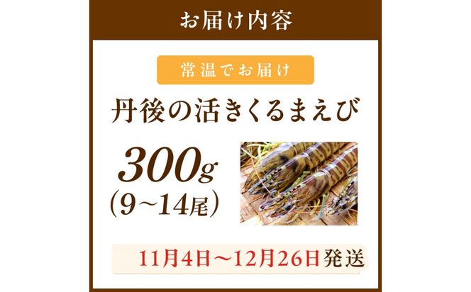 丹後の活きくるまえび 300g（9～14尾）　MN00058