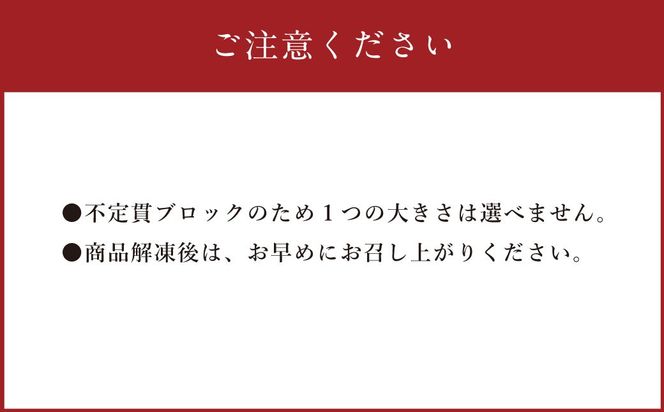 【フジチク ふじ馬刺し】馬刺し 上赤身（600g） 馬肉 馬刺 赤身 タレ付き 肉 お肉 冷凍 熊本県 上天草市