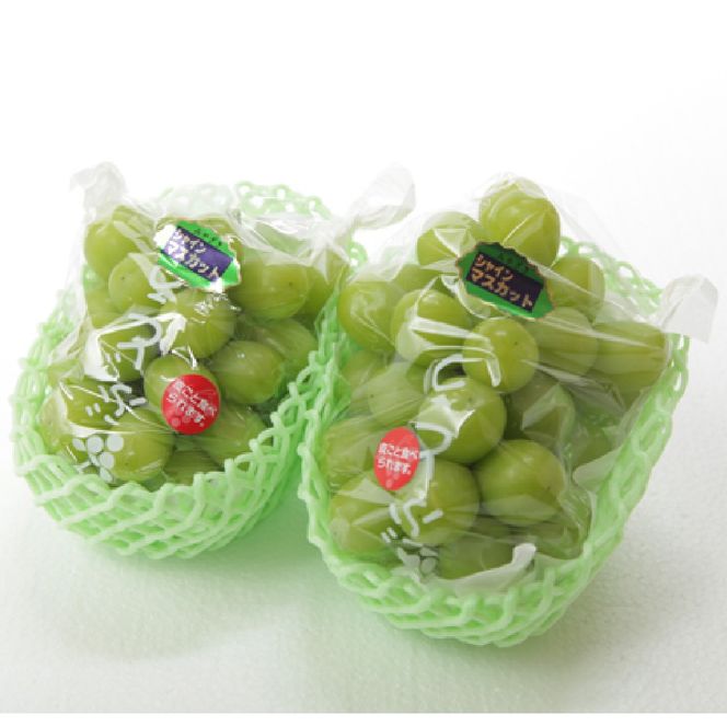 【数量限定】シャインマスカット 1.2kg 農家直送（ぶどう 葡萄 高級フルーツ 甘い 高糖度 ジューシー みずみずしい 芳醇 数量限定 期間限定 旬の果物 人気返礼品 )