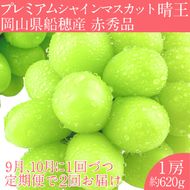 2026年 先行予約【2回定期便】 プレミアム シャインマスカット 晴王 1房約620g/ 岡山県 船穂産 赤秀品 種無し 皮ごと食べる みずみずしい 9月10月にお届け フレッシュ 晴れの国 おかやま 果物大国 彩美菜果