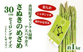 アスパラガス【さぬきのめざめ】30cm セミロングサイズ 1kg 野菜 