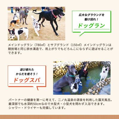 『パートナーズハウスゆあさ』ランチ付き・日帰り利用券（1名様+1頭）【チケット 券 旅行 旅行券 利用券 旅館 トラベル】_AL6003n