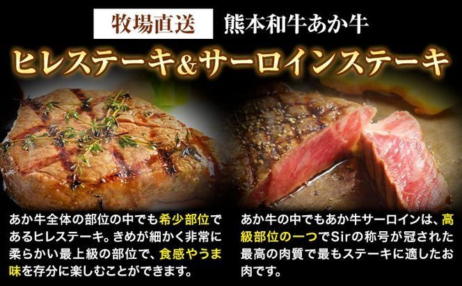 熊本和牛あか牛 極上 ヒレ ＆ サーロインステーキ セット 550g ヒレステーキ 150g×1枚 サーロインステーキ 200g×2枚 道の駅竜北《60日以内に出荷予定(土日祝除く)》 熊本県 氷川町 あか牛 牛肉---sh_fskahsrstk_24_60d_60000_550g---