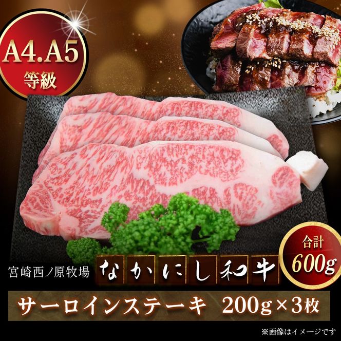 宮崎県西ノ原牧場・なかにし和牛サーロインステーキ 600g（国産 牛肉 肉 黒毛和牛 お肉 赤身 サーロインステーキ ステーキ)