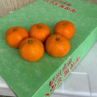 BF6032n_【2026年先行予約】ハウスみかん 化粧箱 約2.5kg 【ミカン 蜜柑 柑橘 温州みかん 有田みかん 贈答 ギフト 和歌山】