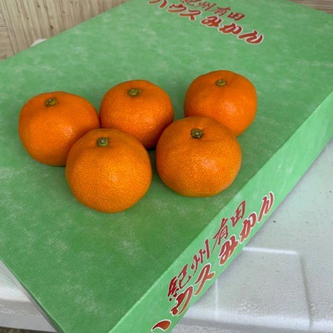 BF6032n_【2026年先行予約】ハウスみかん 化粧箱 約2.5kg 【ミカン 蜜柑 柑橘 温州みかん 有田みかん 贈答 ギフト 和歌山】
