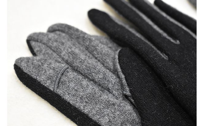 NEWレディース手袋　バイカラー（指で～る） ファッション小物 小物 冬 通勤 通学 お出かけ あったか手袋 あったかグッズ 女性用 女性用手袋 