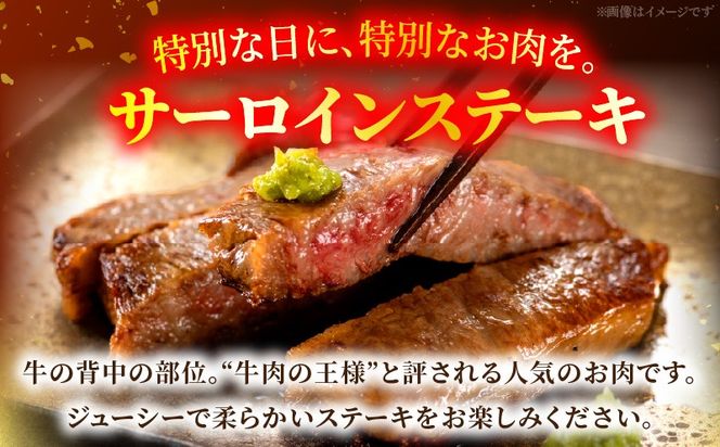 宮崎牛サーロイン ステーキ 200g×2枚_a0296_em_x3