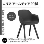 椅子 おしゃれ ロリア アームチェア ブラック PP脚 P3003-1WK [アダル 福岡県 宇美町 um40azo830044] いす イス オシャレ ベンチ 家具 インテリア 黒