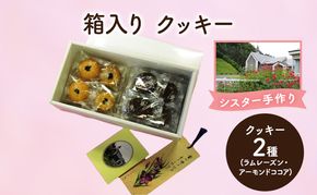 十勝カルメル会シスターが真心こめて作った 箱入り クッキー (ラムレーズン・アーモンドココア)　【 ギフト プチギフト お菓子 お礼 お返し 北海道 十勝 幕別 カルメル イエズス キリスト クッキー 】