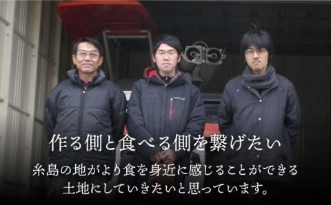 【先行予約】 爽やか に 甘い ！ 糸島産 「 はるか 」 お試し用 約 3kg 【2025年3月より順次発送】二丈赤米産直センター[ABB003]