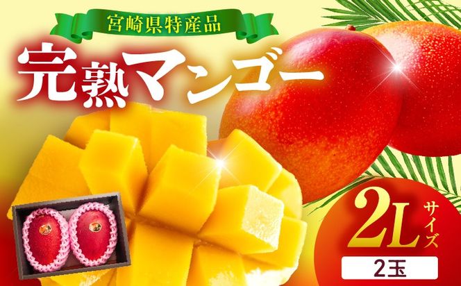 宮崎県産 完熟マンゴー 2玉 2L