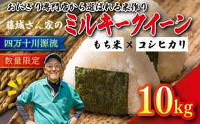 【おにぎり専門店御用達！】藤城さん家のミルキークイーン10kg【令和7年産】 ｜ ご飯 白米 お米 令和7年 定期便 令和7年産 10kg 精米済み 愛媛県鬼北町　※2025年9月下旬頃より順次発送予定