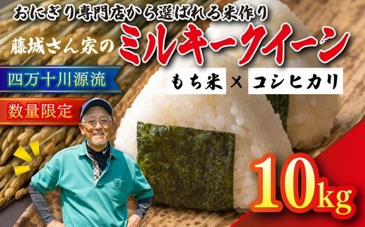 【おにぎり専門店御用達！】藤城さん家のミルキークイーン10kg【令和7年産】 ｜ ご飯 白米 お米 令和7年 定期便 令和7年産 10kg 精米済み 愛媛県鬼北町　※2025年9月下旬頃より順次発送予定