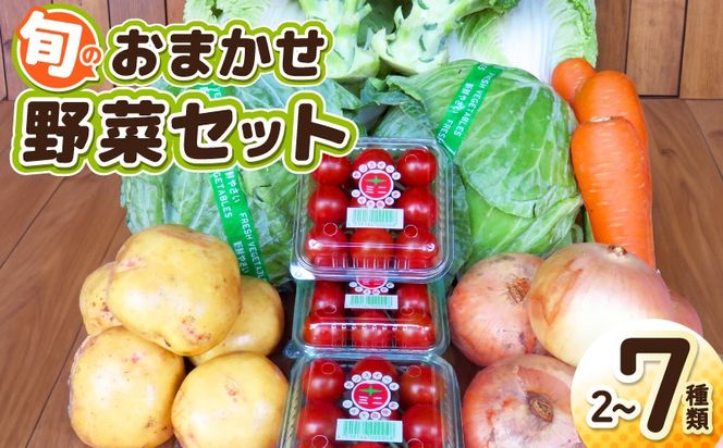 G3452 旬のおまかせ野菜 セット 2～7種類【産地直送 国産 やさい 新鮮 おまかせ 詰め合わせ 詰合せ】