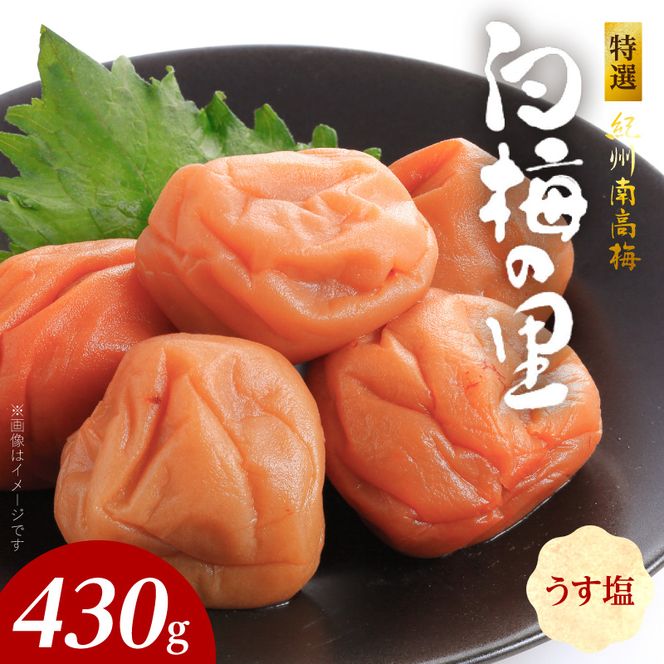 特選紀州南高梅「白梅の里」うす塩味　430ｇ_SF2008