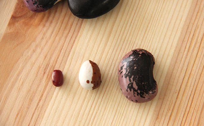 北海道 洞爺湖町産 高級菜豆 2種 白花豆 500g 紫花豆 500g 計1kg 12月中旬よりお届け 花豆 豆 マメ まめ 大粒 甘い 北海道産 国産 煮豆 スープ 煮込み料理 常温 お取り寄せ 送料無料 【 洞爺湖町 】