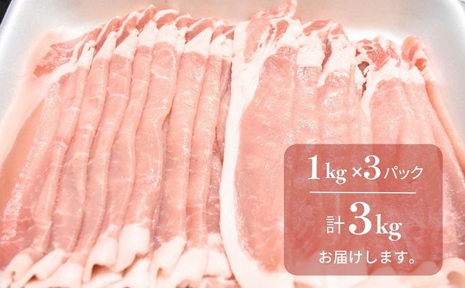 香川県産オリーブ豚 3kg 豚肉 香川 ブランド豚 パック
