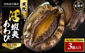 北海道室蘭産 天然蝦夷活あわび 3個入（1個100g～120g前後）（2026年1月中旬頃お届け） MROH010