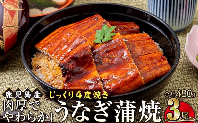 うなぎ 蒲焼 160g×3尾【鹿児島産】地下水で育てた絶品鰻 464686_AQ104