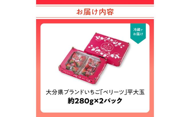 【C07007】【先行予約※2025年2月下旬より発送開始】大分県ブランドいちご「ベリーツ」平大玉 約280g×2パック