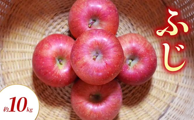 【2026年11月～発送】ふじ 約10kg りんご リンゴ 林檎 果物 フルーツ 長野県 長野 山ノ内町