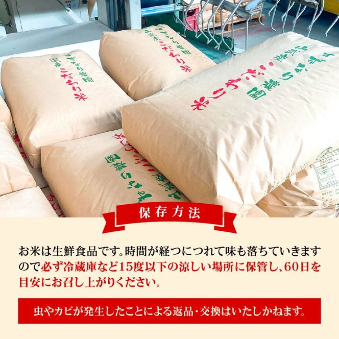 【先行予約・2027年9月中旬～発送】農家直送! すずなり農園のこだわり米 令和9年産「 にじのきらめき」玄米30㎏ SMDI003