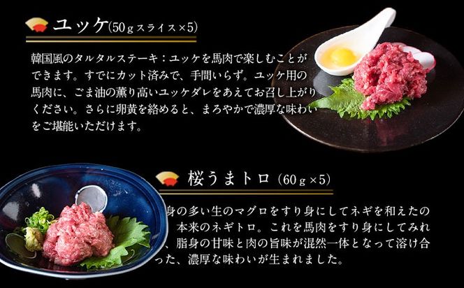 厳選プレミアムスライス馬刺しセット 950g 千興ファーム 馬肉 冷凍 《60日以内に出荷予定（土日祝除く）》 新鮮 さばきたて 真空パック SQF ミシュラン 生食用 肉 菅乃屋 熊本県御船町 スライス 特産品---mifune_snk_32_950ga---