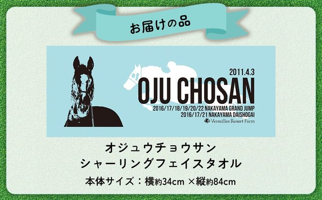 【オジュウチョウサン】シャーリングフェイスタオル BRTV010