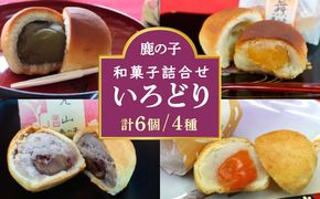 【老舗の菓子屋 鹿の子】和菓子 詰め合わせ「いろどり」4種 6個《築上町》【有限会社 御菓子司 鹿の子】[ABAC010]