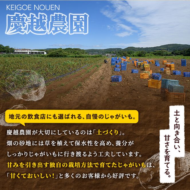 ＜先行予約受付中！2026年12月以降順次発送予定＞じゃがいも ニシユタカ(10kg) 国産 鹿児島県産 阿久根市産 じゃがいも ジャガイモ 芋 ポテト にしゆたか 野菜 期間限定 数量限定 ポテトサラダ コロッケ 常温 常温配送 【慶越農園】akn107-10