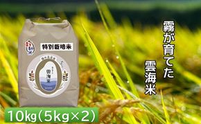 霧が育てた雲海米 特別栽培米 10kg (5kg×2) 雲海米 精米 コシヒカリ 米 コメ お米 おこめ 白米 こしひかり 岡山 高梁市