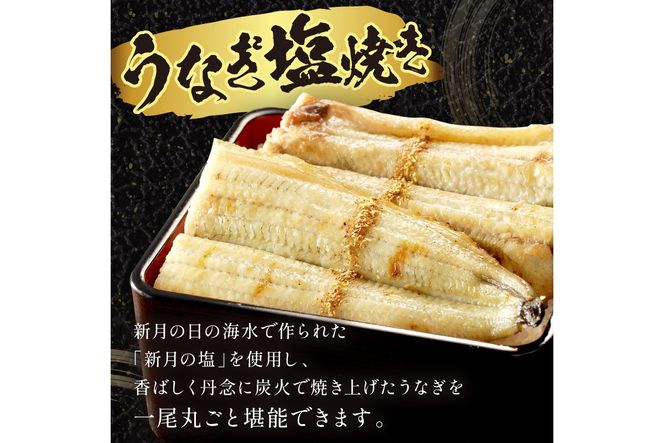 "新月の塩"使用　うなぎの塩焼き2～3人前(1尾)　ふるさと納税 鰻  国産 ウナギ 塩焼き うな丼 うな重 惣菜 京都 ギフト 贈り物 お祝い　AN00097