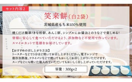 【 筑西市 ふるさと納税限定 コラボ 】 《 季節のお花アレンジメントS 》《 笑来餅 2個 セット（白2個） 》 アレンジメント 生花 ギフト プレゼント 誕生日 記念日 敬老 餅 もち もち米 [ZZ047ci]