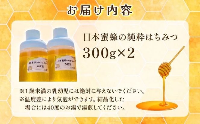 日本蜜蜂の純粋はちみつ 日本蜜蜂の純粋はちみつ 300g×2