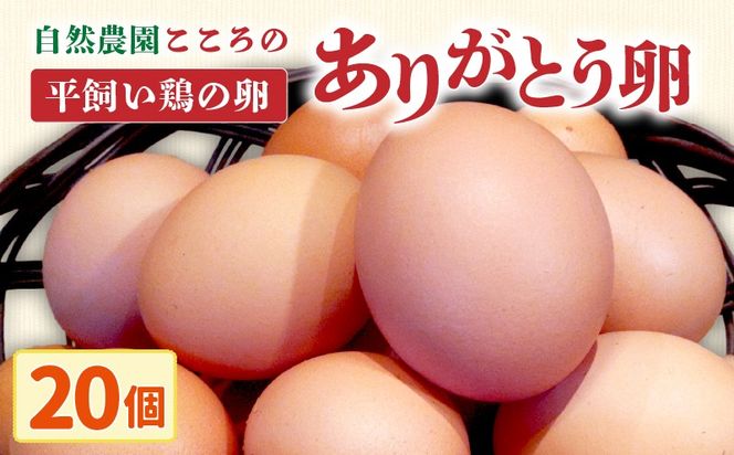 自然農園「こころ」の平飼い『ありがとう卵』 20個（10個×2パック）