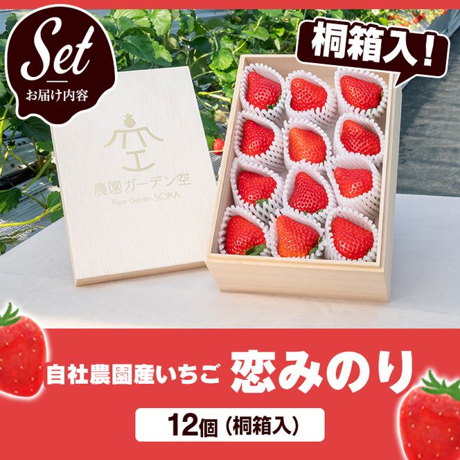 ＜先行予約受付中！2027年1月以降順次発送予定＞桐箱入！自社農園産いちご 恋みのり(計12個) 鹿児島 阿久根 自社農園 果物 フルーツ イチゴ いちご 苺 恋みのり 贈答用 ギフト 桐箱 デザート 期間限定【農園ガーデン空】akn026-10