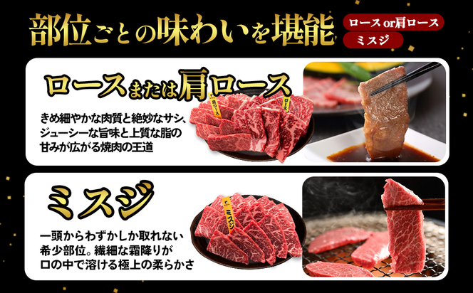 宮崎県産 黒牛 焼肉 赤身 牛肉 焼肉セット ロース 肩ロース ミスジ 2点盛り 560g(280g × 2パック)焼肉用 肉 お肉 牛 国産牛 食べ比べ セット 小分け 真空パック 冷凍 贈答 贈答用 ギフト BBQ アウトドア キャンプ  国産 国産牛 九州 宮崎県 えびの市 